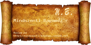 Mindszenti Bagamér névjegykártya